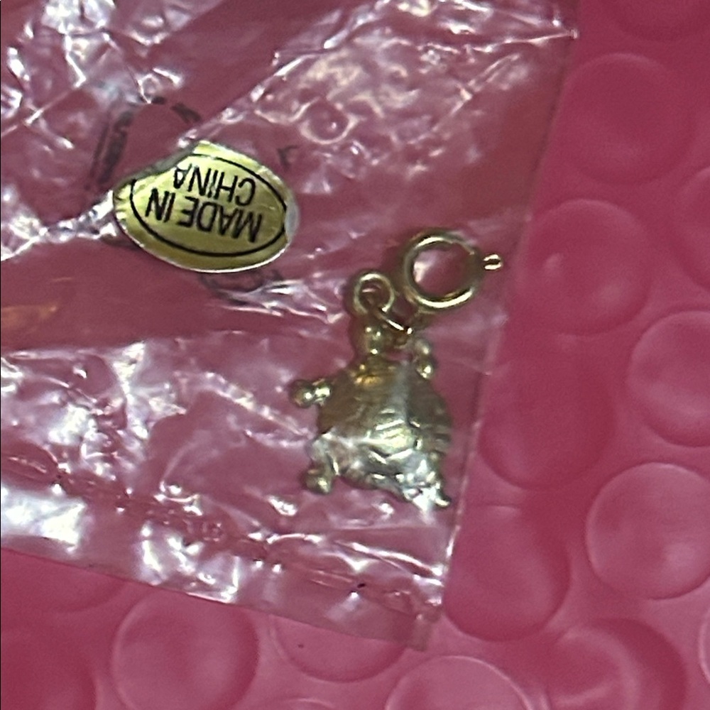 Dior Gold Turtle Charm